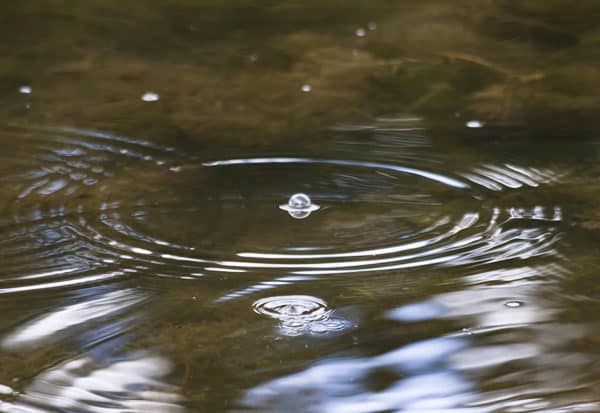 Lake Waterdrops