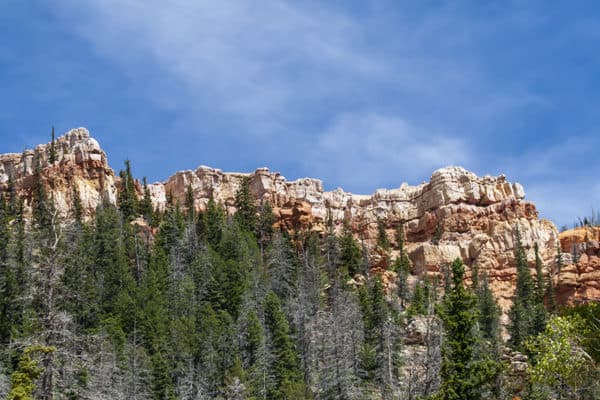 Stout Canyon Red Rock Mountain in Utah